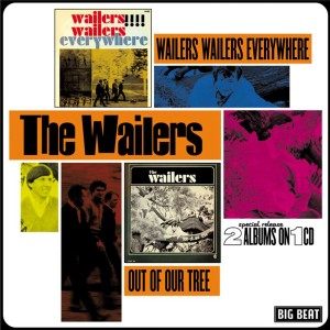 I Wailers e il “Northwest sound” di Seattle 02
