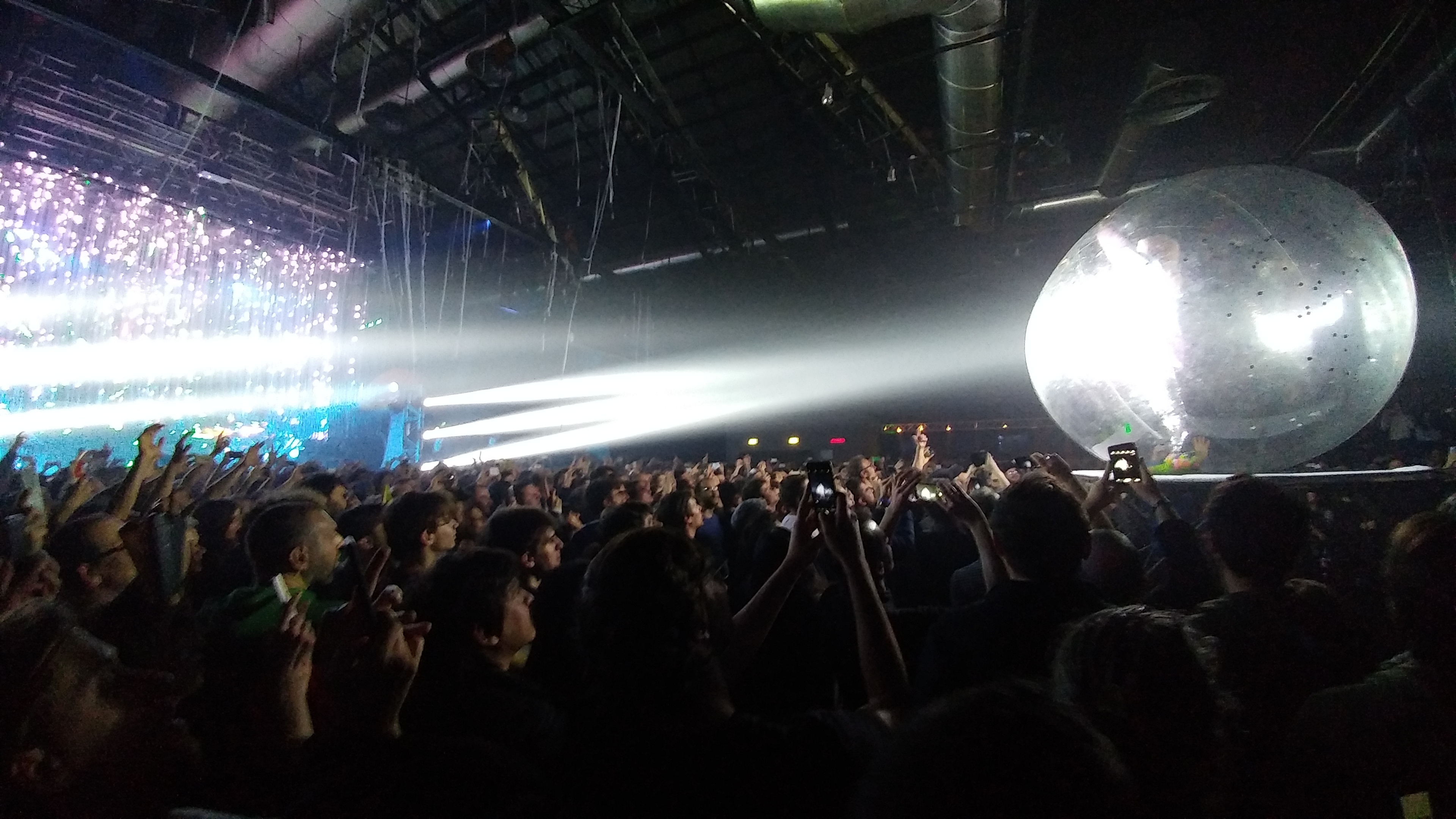 Wayne Coyne in da ball