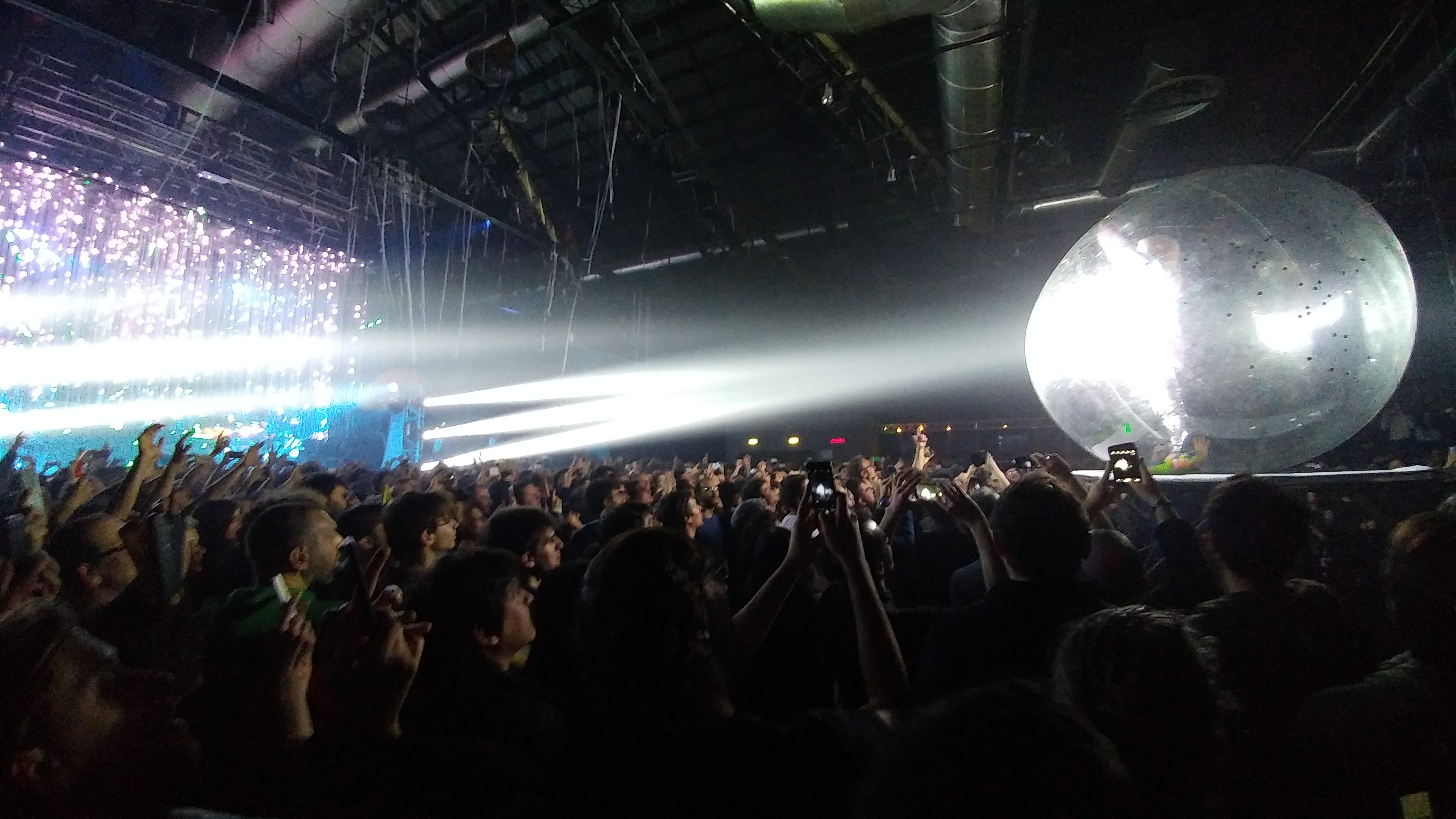 Wayne Coyne in da ball