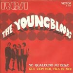 Il fenomeno delle incisioni straniere in Italia